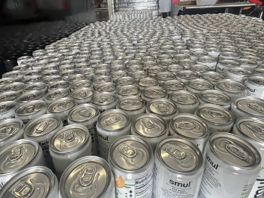 Can Smart Solutions 13